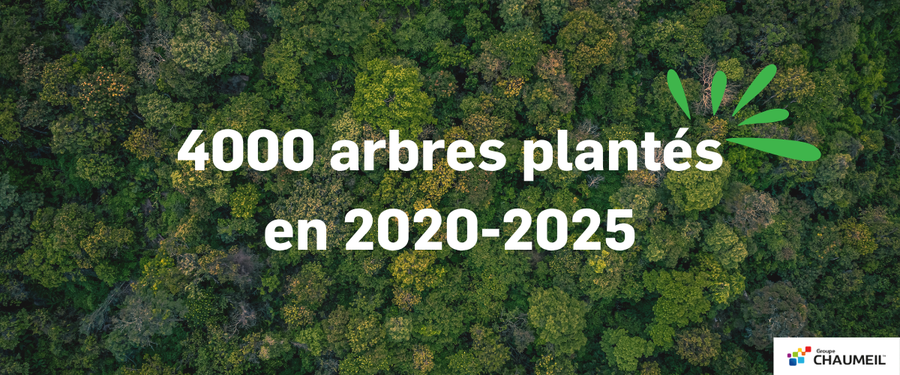 Plantation de 4 000 arbres par le Groupe Chaumeil, initiative environnementale pour la biodiversité et le clim